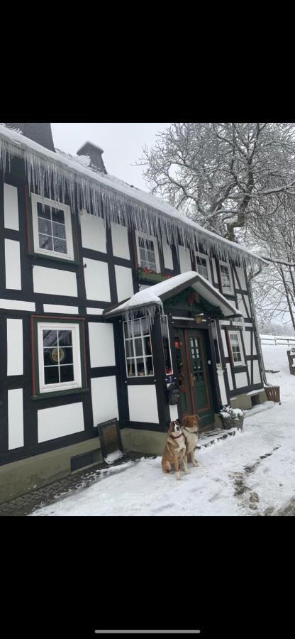 Berghof Schmitte Winterberg Exterior foto