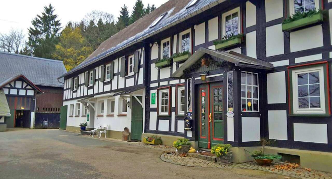 Berghof Schmitte Winterberg Exterior foto