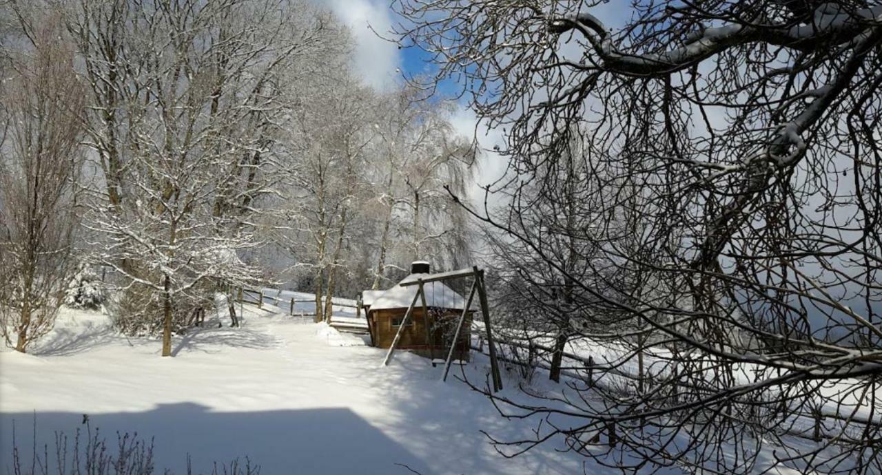 Berghof Schmitte Winterberg Exterior foto