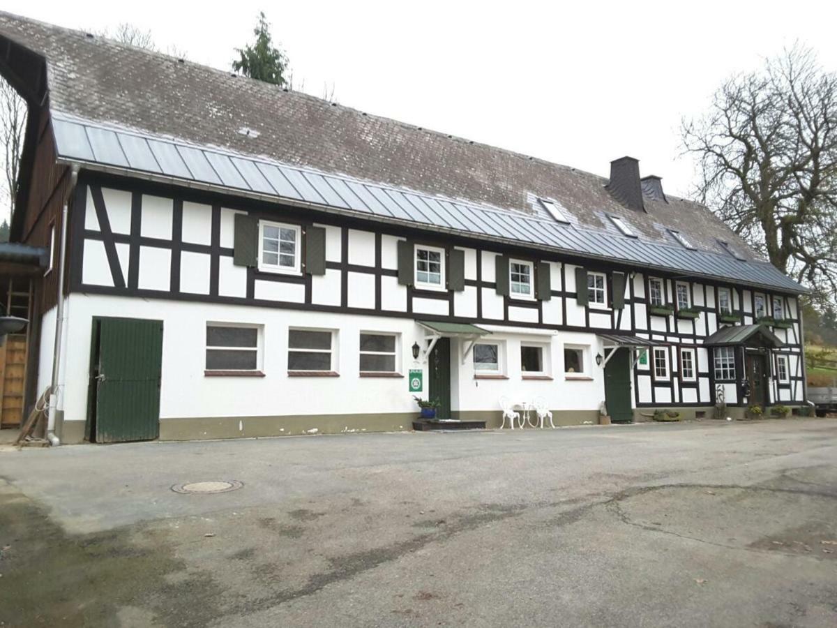 Berghof Schmitte Winterberg Exterior foto