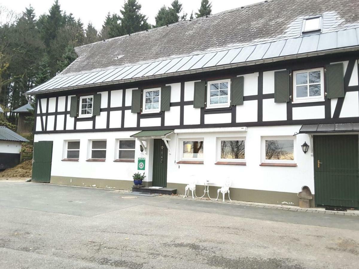 Berghof Schmitte Winterberg Exterior foto